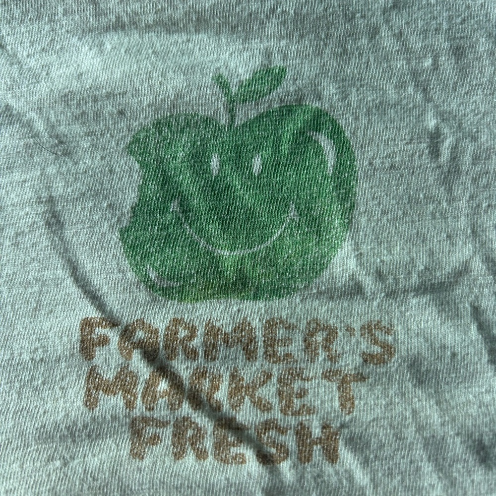 Aerie Short Sleeve Tee with Green Apple Print